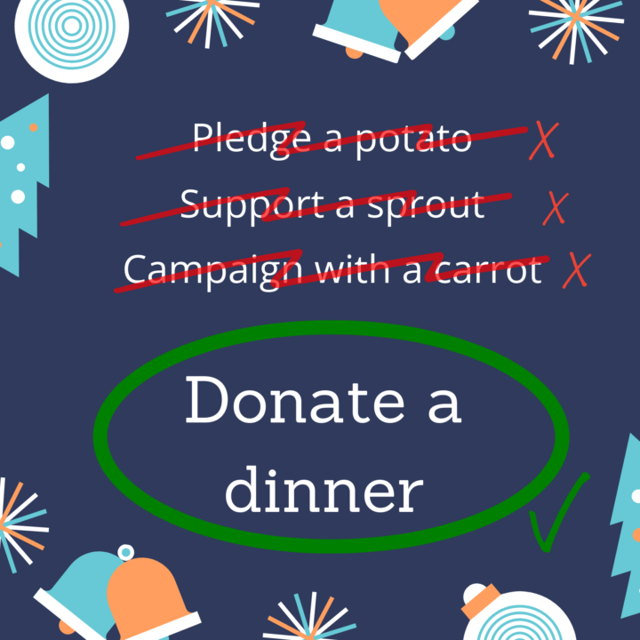 IP17 GNS Festive Project: Christmas Dinners for those in need.